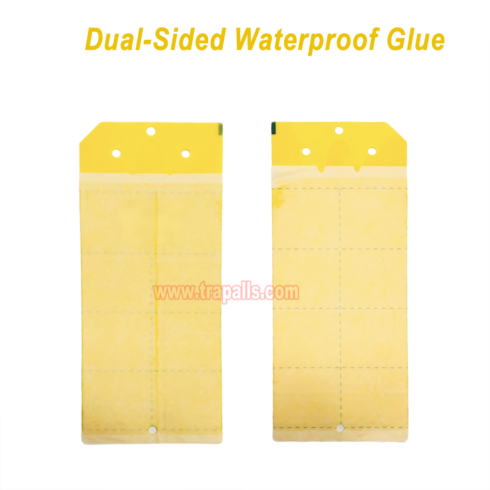 Greenhouse Orchard Double-Sided Waterproof Adhesive Aphid Trap Sticky Glue Pest Board Trap - Image 4