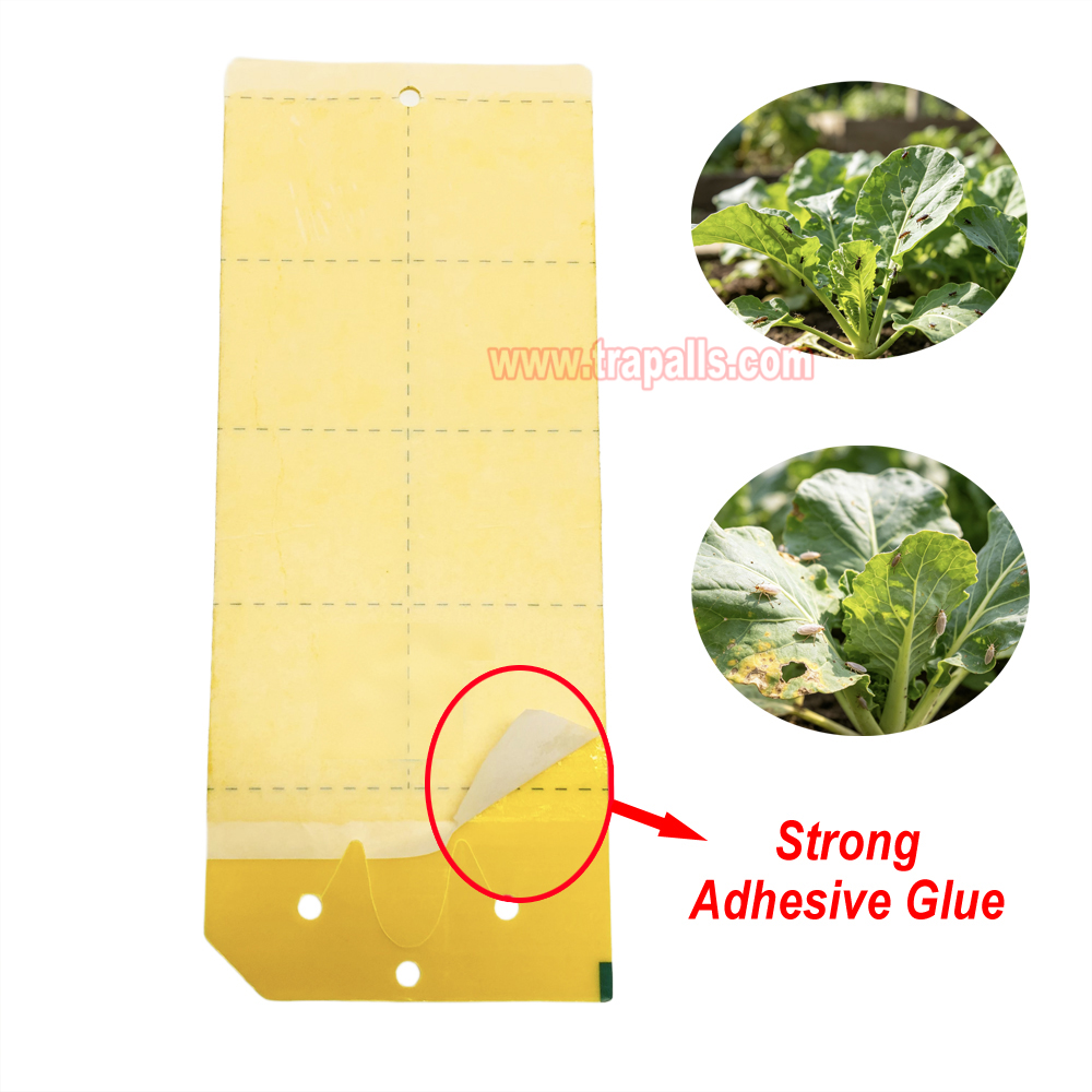 Greenhouse Orchard Double-Sided Waterproof Adhesive Aphid Trap Sticky Glue Pest Board Trap - Image 5