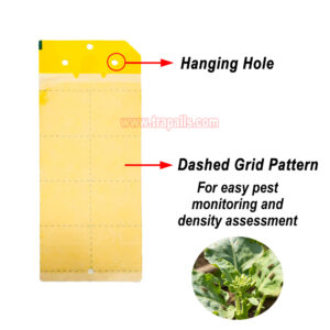 Greenhouse Orchard Double-Sided Waterproof Adhesive Aphid Trap Sticky Glue Pest Board Trap - Image 6