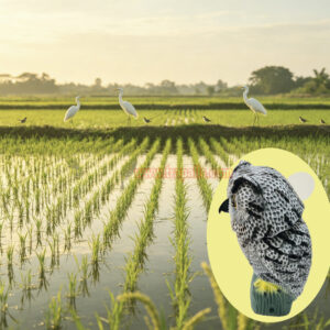 Outdoor Courtyard Realistic Rotating Owl Decoy Wind-Powered Pigeon Scarecrow 360° Rotating Head Bird Repeller Owl Bird Deterrent - Image 9