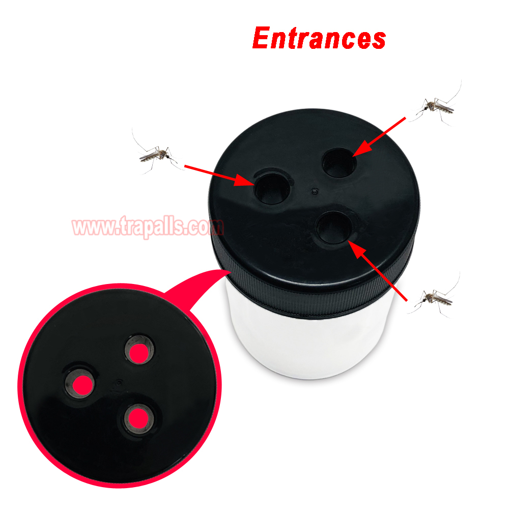Outdoor Field Plastic Aedes Mosquito Control Pest Egg Monitoring Device Mosquito Lure Trap Mosquito Ovitrap - Image 4