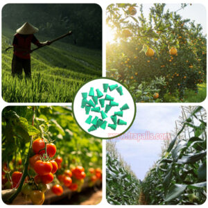 Organic Farming Compatible Rubber Stopper Slow-Release Dispenser for Tomato Leaf Miner Tuta Absoluta Pheromone Lure - Image 13