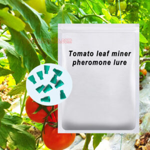 Organic Farming Compatible Rubber Stopper Slow-Release Dispenser for Tomato Leaf Miner Tuta Absoluta Pheromone Lure - Image 6