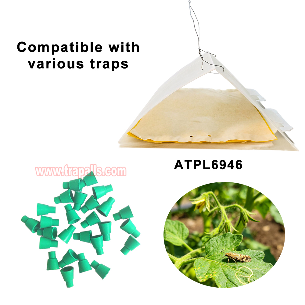 Organic Farming Compatible Rubber Stopper Slow-Release Dispenser for Tomato Leaf Miner Tuta Absoluta Pheromone Lure - Image 9