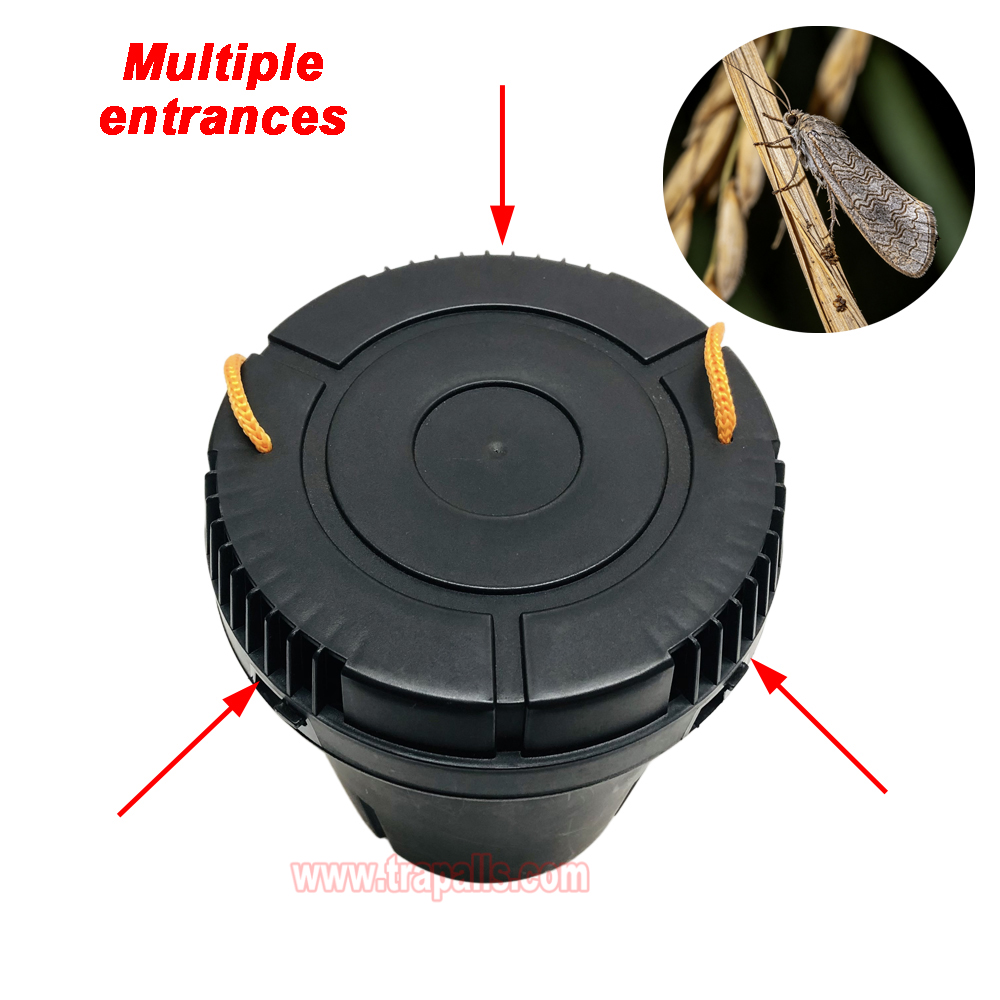 Garden Farm Eco-Friendly Hanging Pheromone Lure Moth Trap Pyralid Moth Trap - Image 6