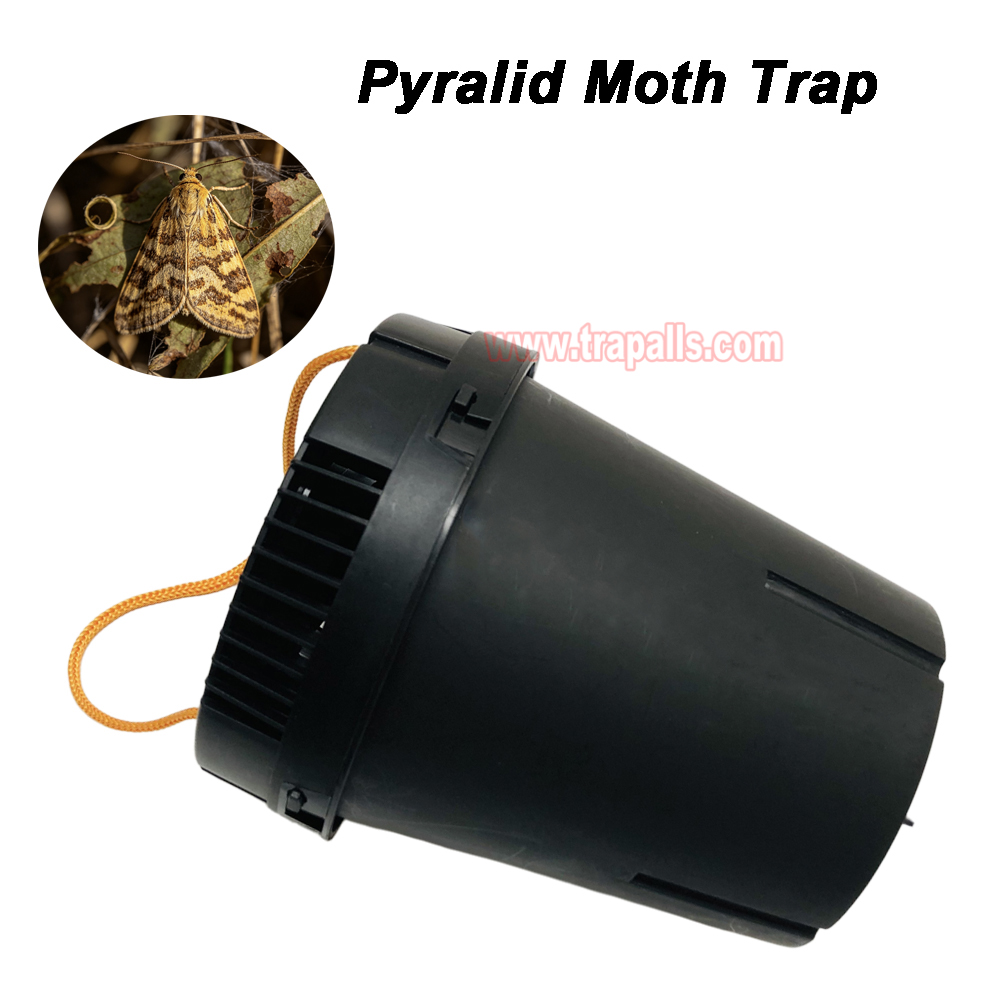 Garden Farm Eco-Friendly Hanging Pheromone Lure Moth Trap Pyralid Moth Trap - Image 8