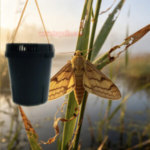 Garden Farm Eco-Friendly Hanging Pheromone Lure Moth Trap Pyralid Moth Trap - Image 9