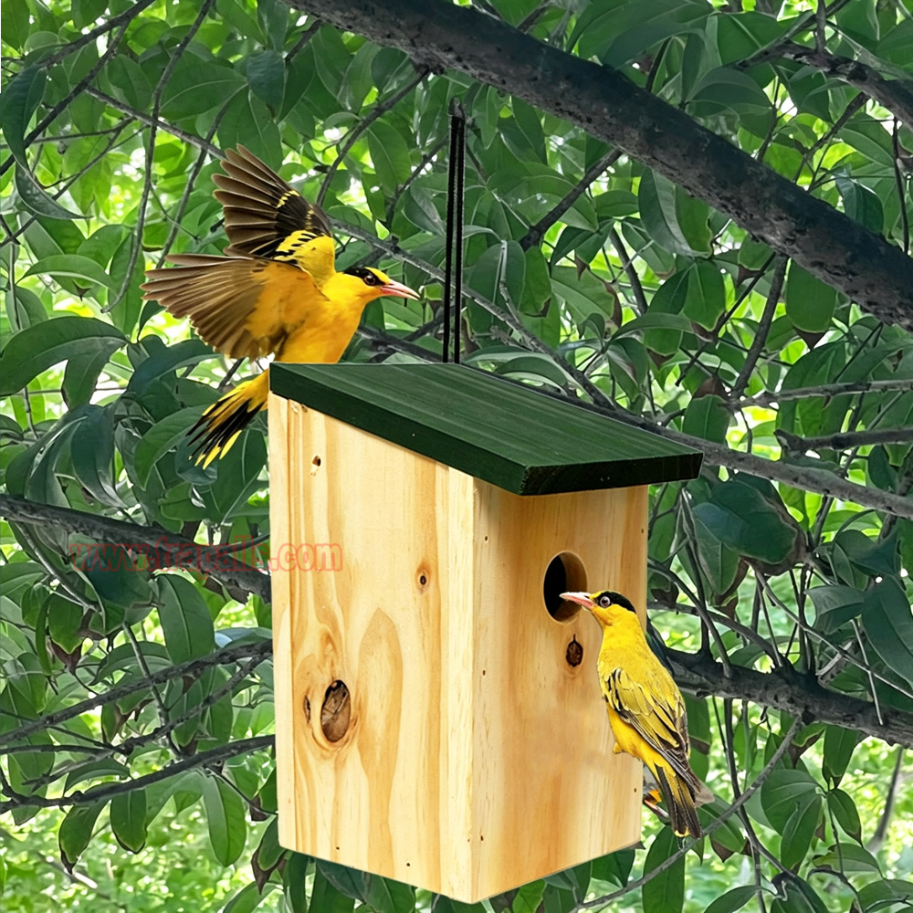 Garden Hanging Decorative Bird Shelter Sparrows Nesting Box Natural Wooden Bird House - Image 7