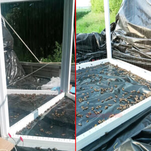 Farm Stable High-Efficiency Physical Insect Control Heavy Duty Horse Fly Trap Electronic Horse Fly Trap - Image 9