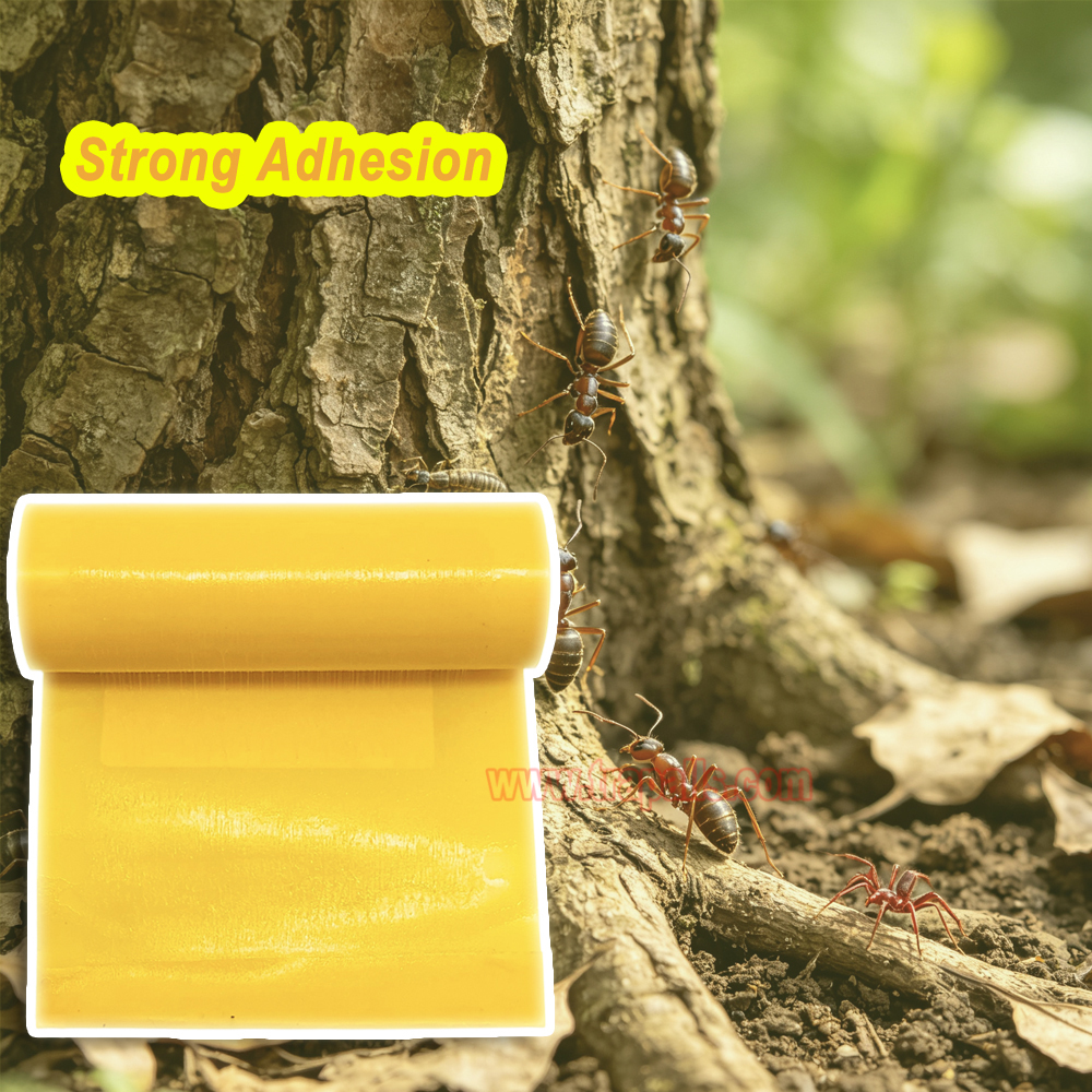 Garden Orchard Protecting Tree External Adhesive Tree Insect Trap Tape Insect Barrier Tree Pest Tape - Image 5