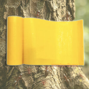 Garden Orchard Protecting Tree External Adhesive Tree Insect Trap Tape Insect Barrier Tree Pest Tape - Image 6