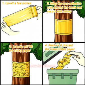 Garden Orchard Protecting Tree External Adhesive Tree Insect Trap Tape Insect Barrier Tree Pest Tape - Image 8