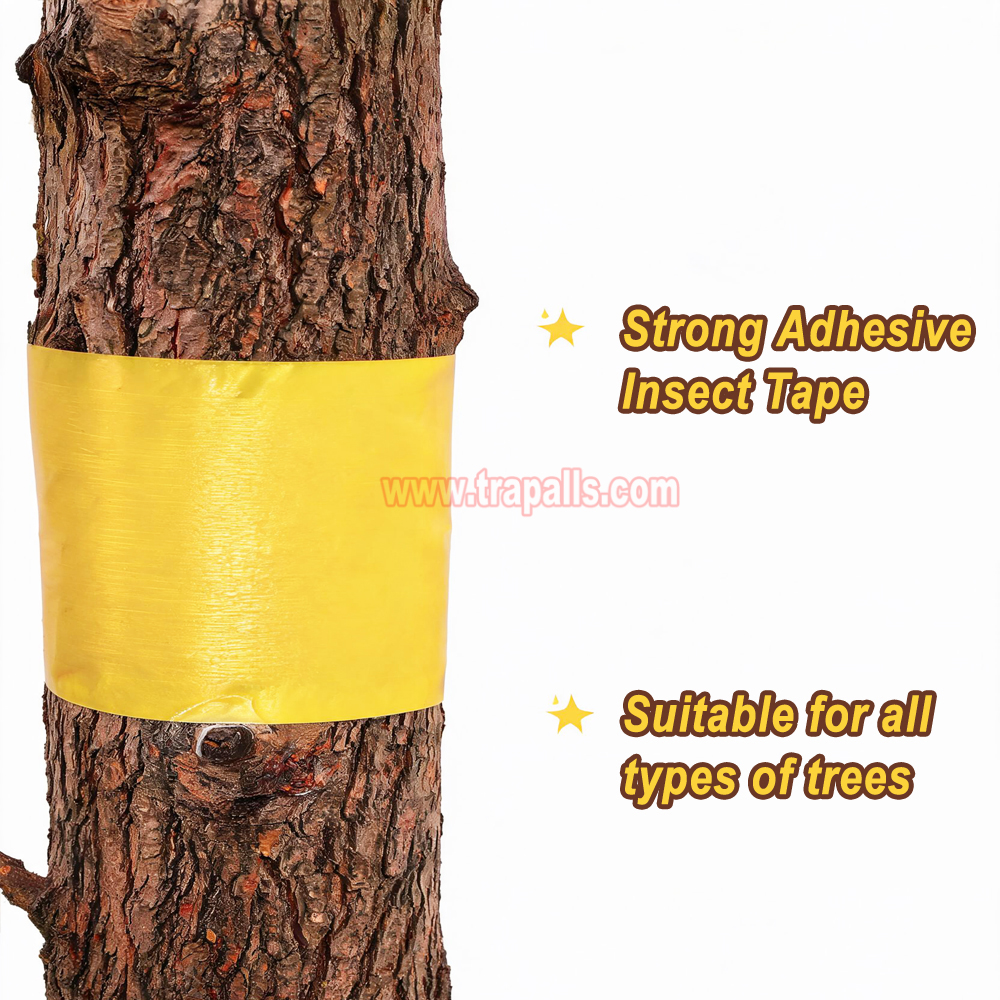 Garden Orchard Protecting Tree External Adhesive Tree Insect Trap Tape Insect Barrier Tree Pest Tape - Image 10