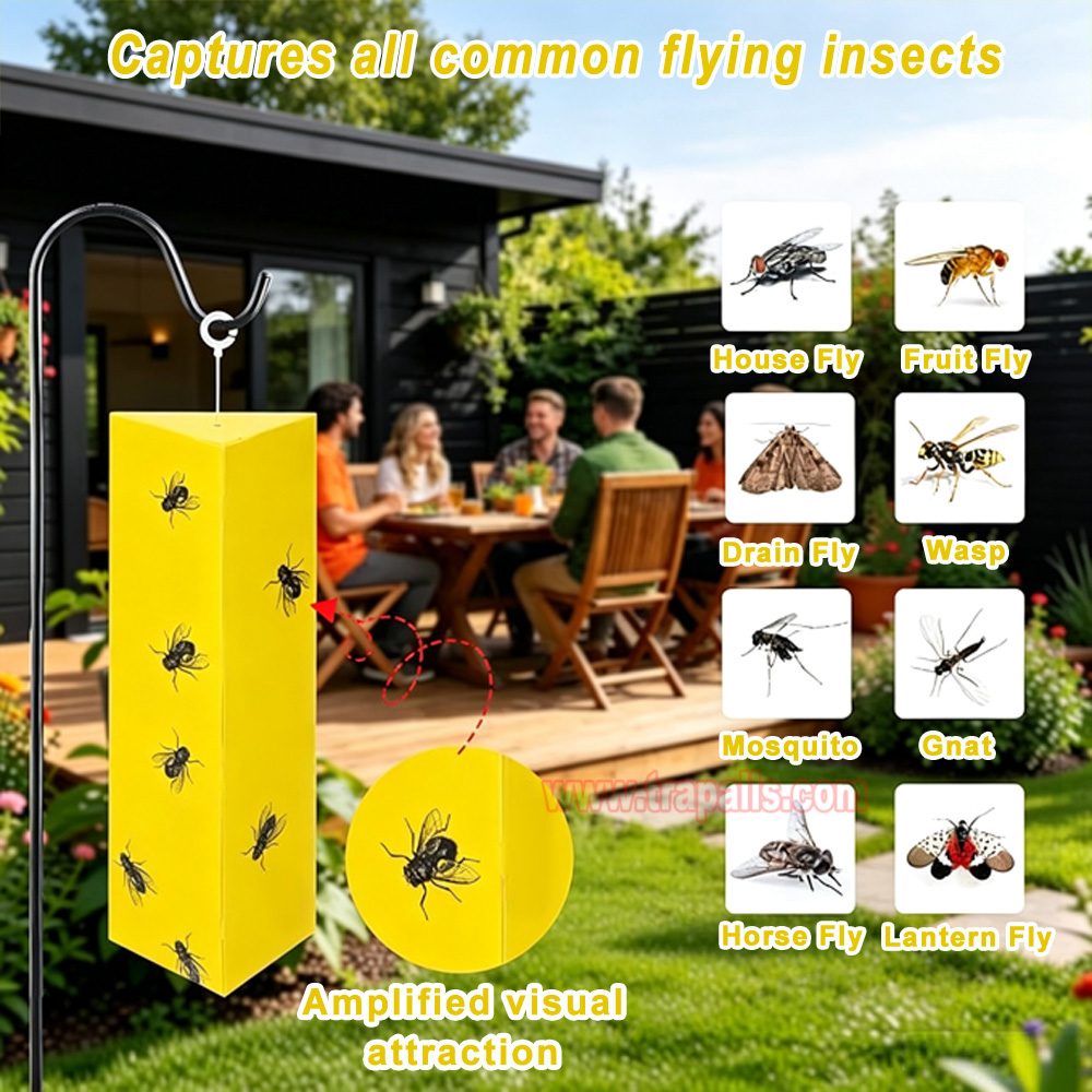 Orchard Indoor Disposable Adhesive Flying Insect Catcher Glue Pest Board Trap Sticky Fly Trap - Image 12