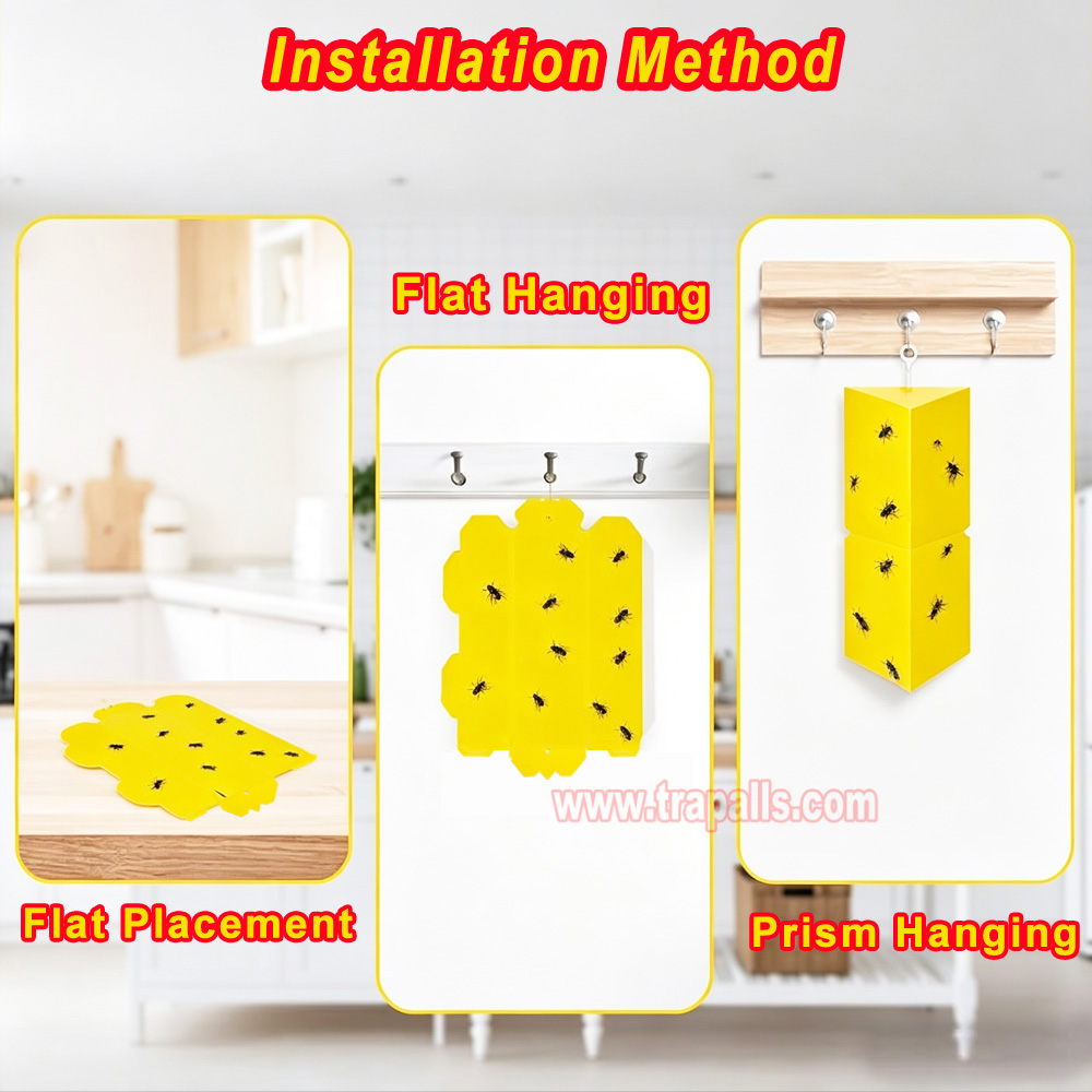 Orchard Indoor Disposable Adhesive Flying Insect Catcher Glue Pest Board Trap Sticky Fly Trap - Image 13