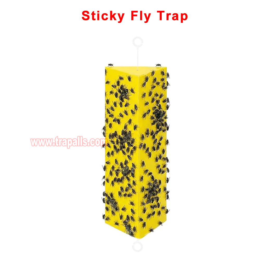 Orchard Indoor Disposable Adhesive Flying Insect Catcher Glue Pest Board Trap Sticky Fly Trap - Image 14