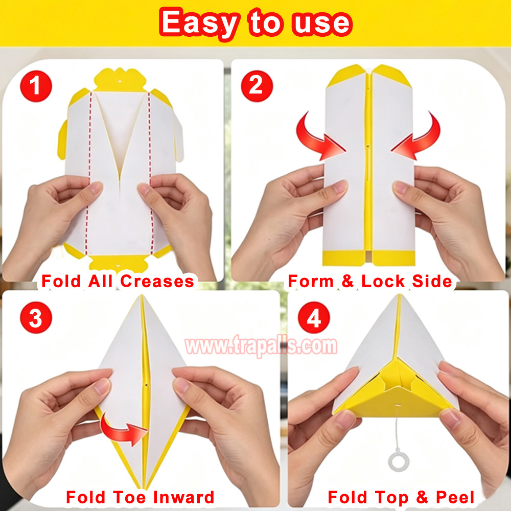 Orchard Indoor Disposable Adhesive Flying Insect Catcher Glue Pest Board Trap Sticky Fly Trap - Image 15
