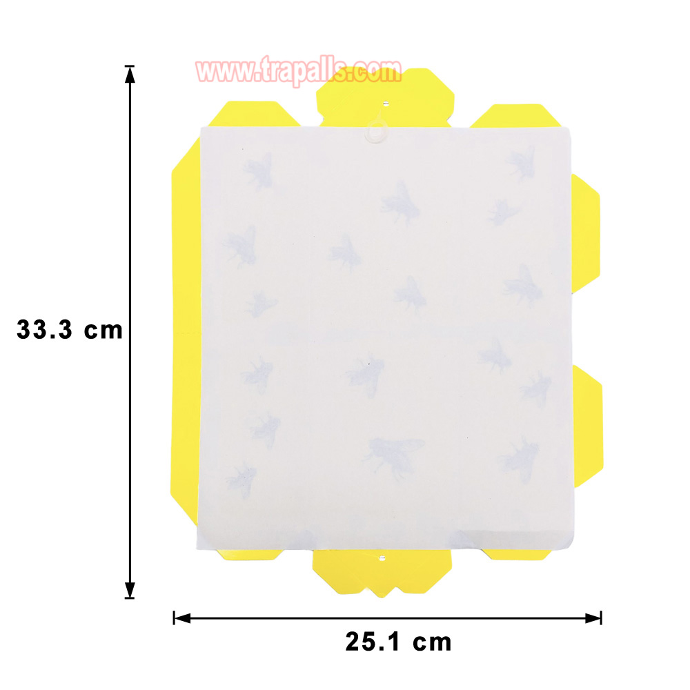 Orchard Indoor Disposable Adhesive Flying Insect Catcher Glue Pest Board Trap Sticky Fly Trap - Image 3
