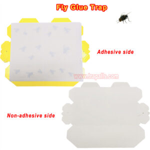 Orchard Indoor Disposable Adhesive Flying Insect Catcher Glue Pest Board Trap Sticky Fly Trap - Image 4