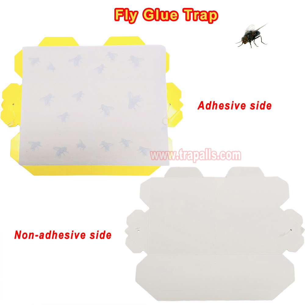 Orchard Indoor Disposable Adhesive Flying Insect Catcher Glue Pest Board Trap Sticky Fly Trap - Image 4