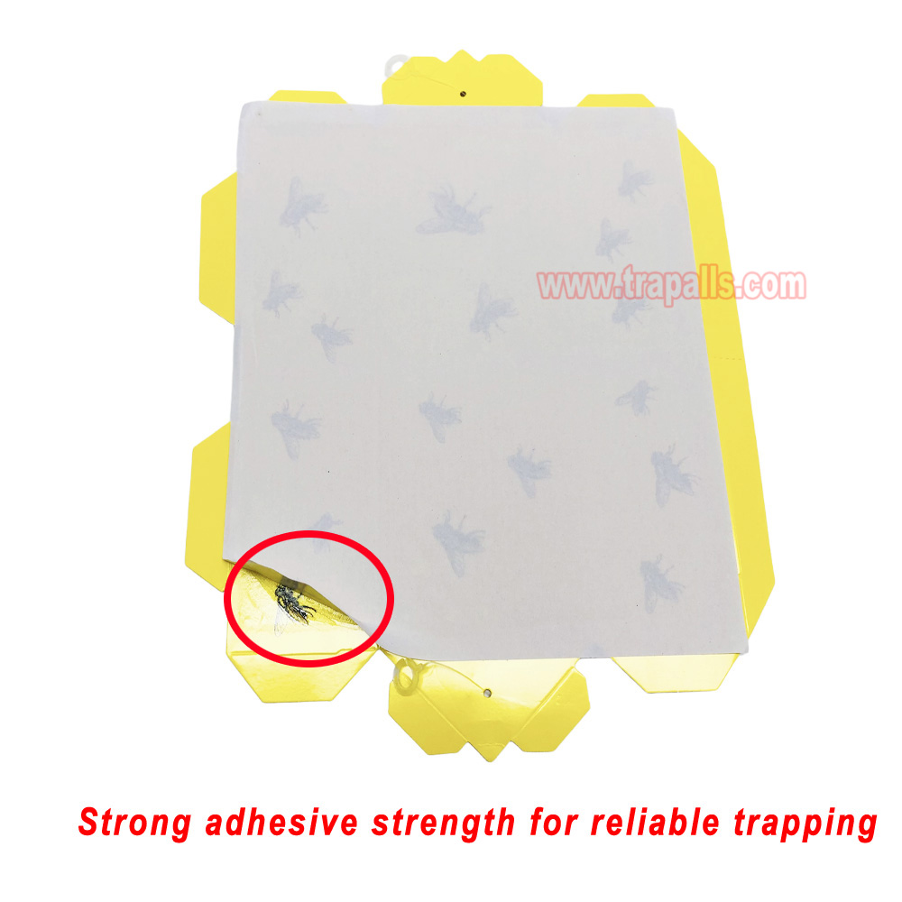 Orchard Indoor Disposable Adhesive Flying Insect Catcher Glue Pest Board Trap Sticky Fly Trap - Image 5