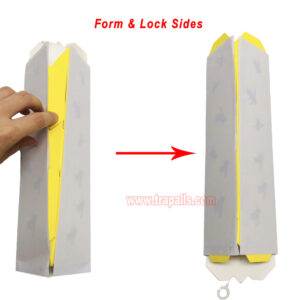 Orchard Indoor Disposable Adhesive Flying Insect Catcher Glue Pest Board Trap Sticky Fly Trap - Image 6