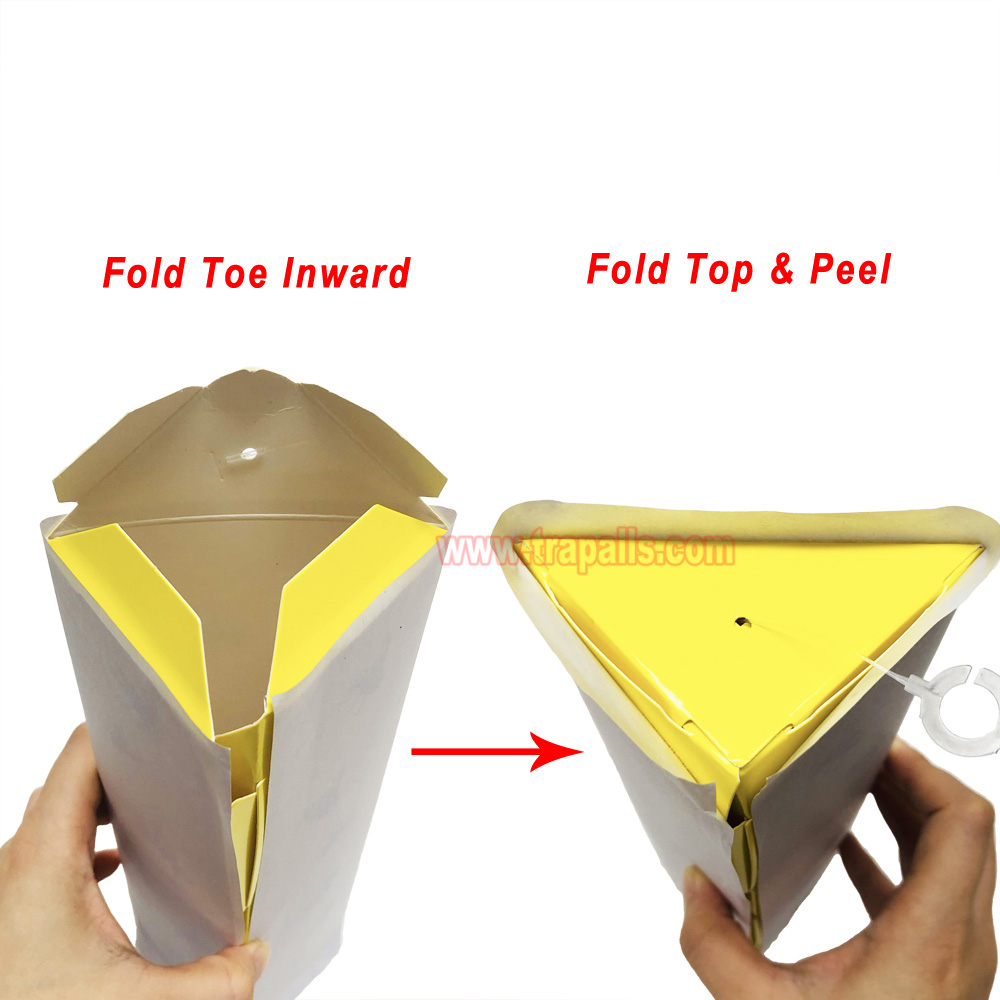 Orchard Indoor Disposable Adhesive Flying Insect Catcher Glue Pest Board Trap Sticky Fly Trap - Image 7