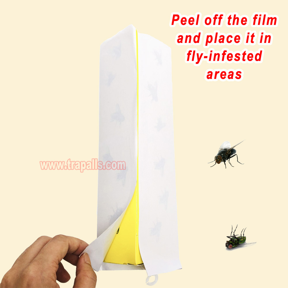Orchard Indoor Disposable Adhesive Flying Insect Catcher Glue Pest Board Trap Sticky Fly Trap - Image 8
