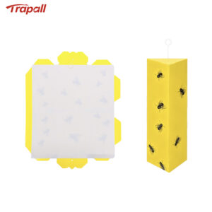 Orchard Indoor Disposable Adhesive Flying Insect Catcher Glue Pest Board Trap Sticky Fly Trap