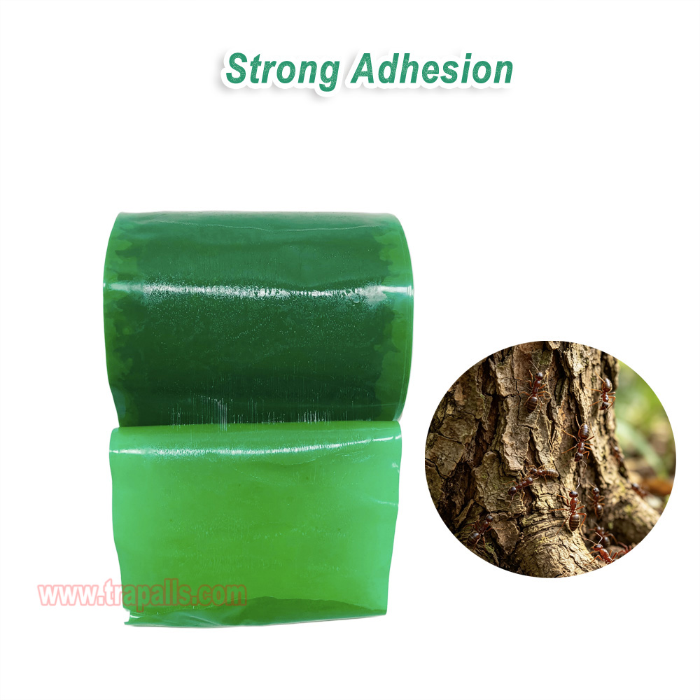 Orchard Protecting Tree External Adhesive Tree Insect Trap Tape Insect Barrier Tree Pest Tape - Image 6