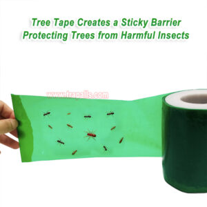 Orchard Protecting Tree External Adhesive Tree Insect Trap Tape Insect Barrier Tree Pest Tape - Image 7