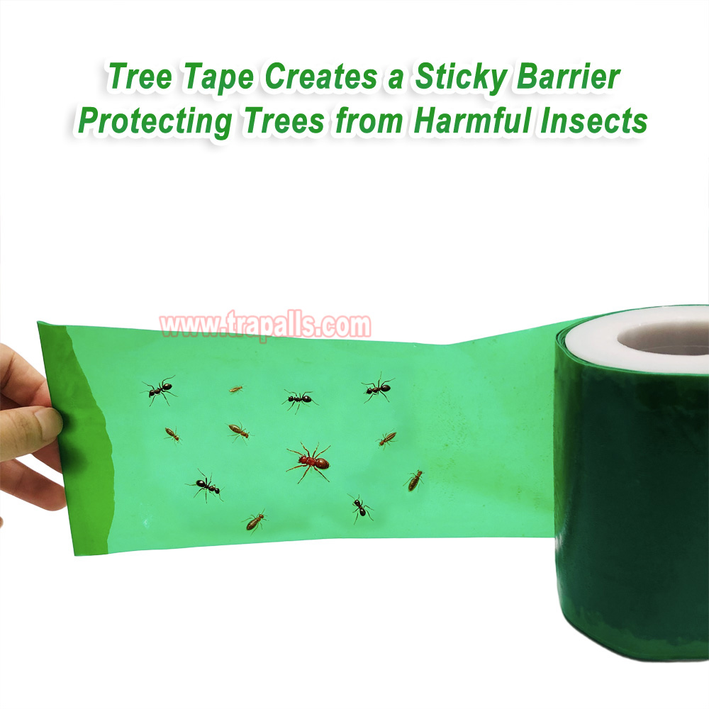 Orchard Protecting Tree External Adhesive Tree Insect Trap Tape Insect Barrier Tree Pest Tape - Image 7