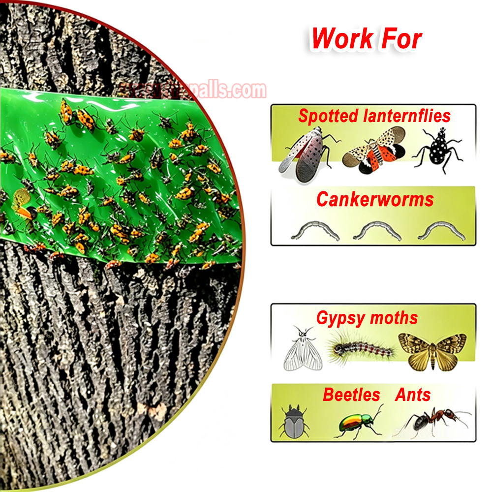 Orchard Protecting Tree External Adhesive Tree Insect Trap Tape Insect Barrier Tree Pest Tape - Image 9