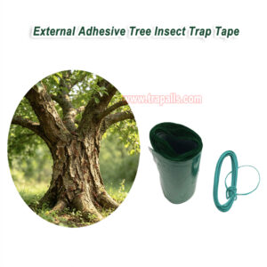 Outdoor Orchard Protecting Tree External Adhesive Tree Insect Trap Tape Crawling Pest Barrier Tree Pest Tape - Image 4