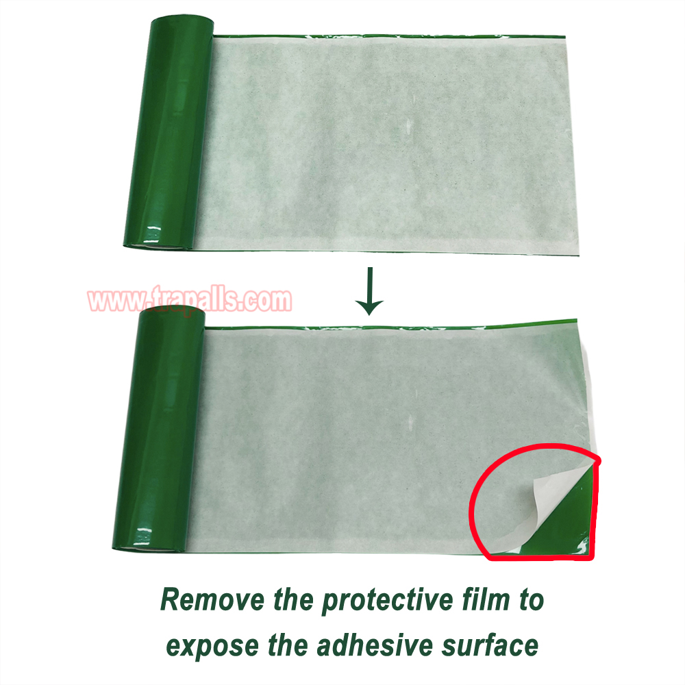 Outdoor Orchard Protecting Tree External Adhesive Tree Insect Trap Tape Crawling Pest Barrier Tree Pest Tape - Image 6