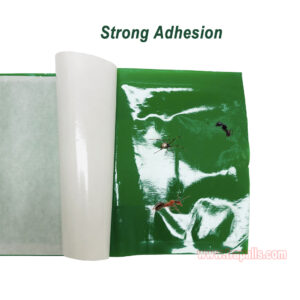 Outdoor Orchard Protecting Tree External Adhesive Tree Insect Trap Tape Crawling Pest Barrier Tree Pest Tape - Image 7