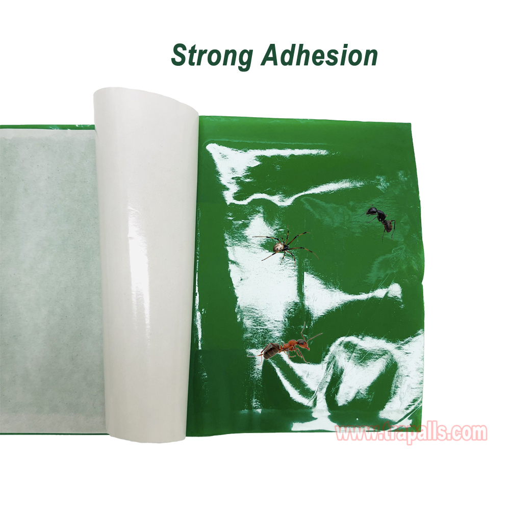 Outdoor Orchard Protecting Tree External Adhesive Tree Insect Trap Tape Crawling Pest Barrier Tree Pest Tape - Image 7