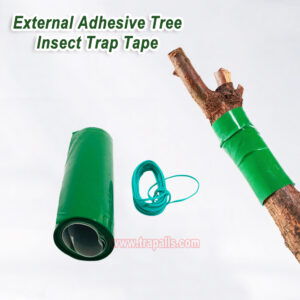 Outdoor Orchard Protecting Tree External Adhesive Tree Insect Trap Tape Crawling Pest Barrier Tree Pest Tape - Image 8