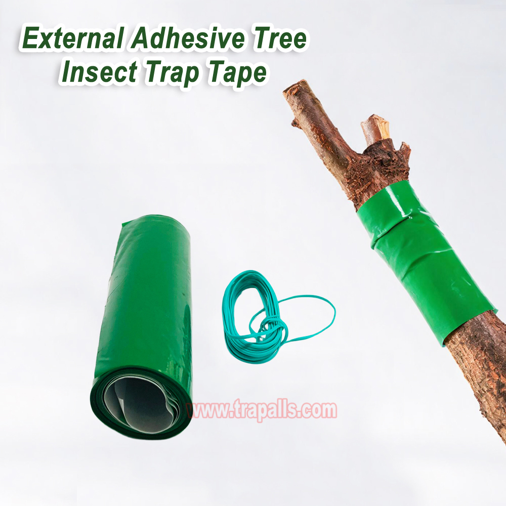 Outdoor Orchard Protecting Tree External Adhesive Tree Insect Trap Tape Crawling Pest Barrier Tree Pest Tape - Image 8