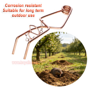 Outdoor Garden Underground Tunnel Sensitive Trigger Vole Control Gopher Catcher Chain Secured Trigger Mole Trap - Image 5