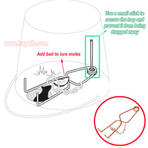 Outdoor Garden Underground Tunnel Sensitive Trigger Vole Control Gopher Catcher Chain Secured Trigger Mole Trap - Image 7
