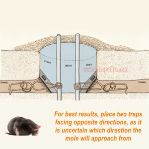 Outdoor Garden Underground Tunnel Sensitive Trigger Vole Control Gopher Catcher Chain Secured Trigger Mole Trap - Image 8