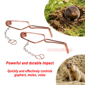 Outdoor Garden Underground Tunnel Sensitive Trigger Vole Control Gopher Catcher Chain Secured Trigger Mole Trap - Image 10