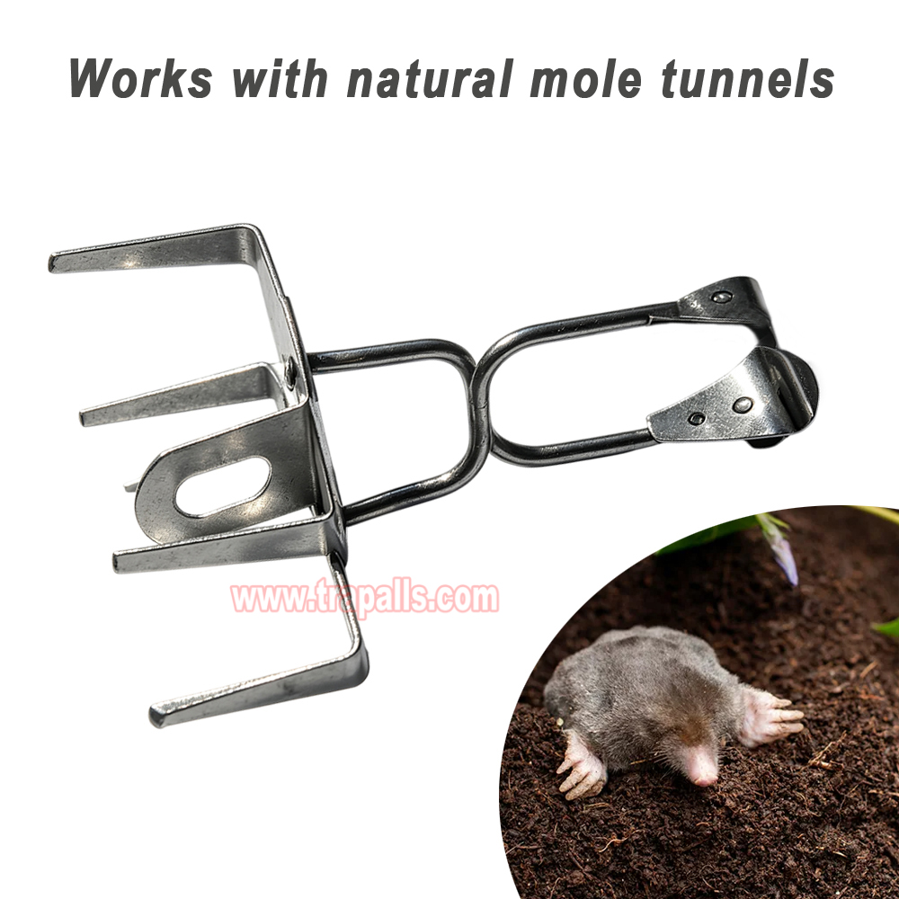 Outdoor Garden Underground Tunnel Reusable Sensitive Trigger Gopher Control Vole Catcher Metal Mole Trap - Image 6