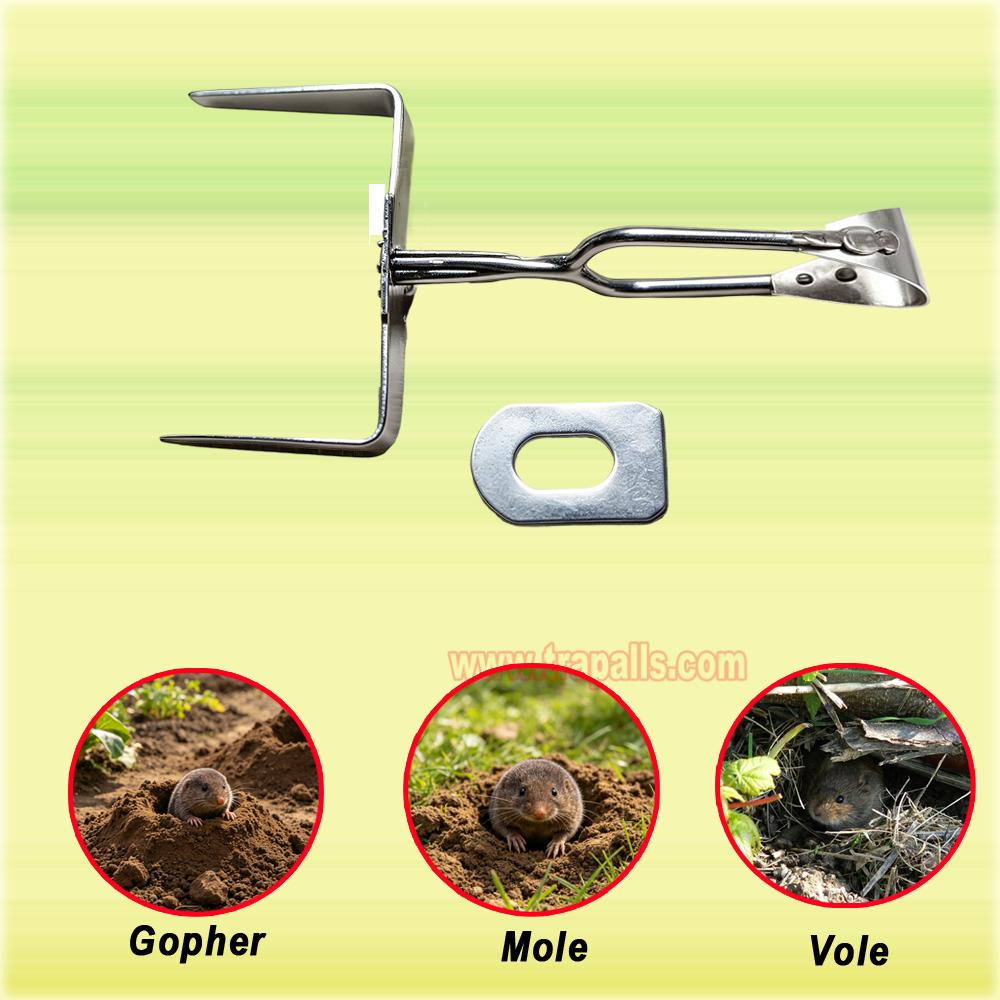 Outdoor Garden Underground Tunnel Reusable Sensitive Trigger Gopher Control Vole Catcher Metal Mole Trap - Image 7