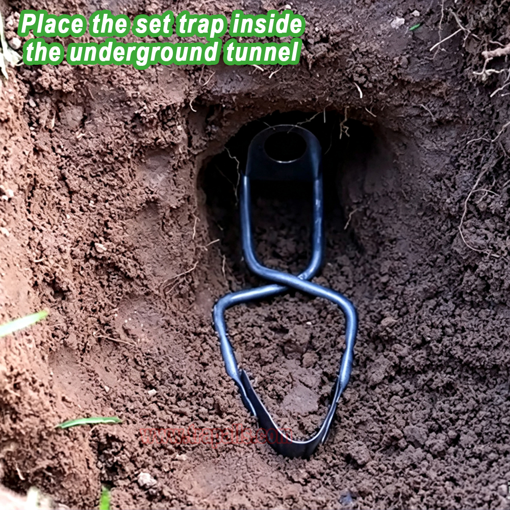 Outdoor Garden Underground Tunnel Reusable Gopher Control Vole Catcher Metal Mole Trap - Image 11