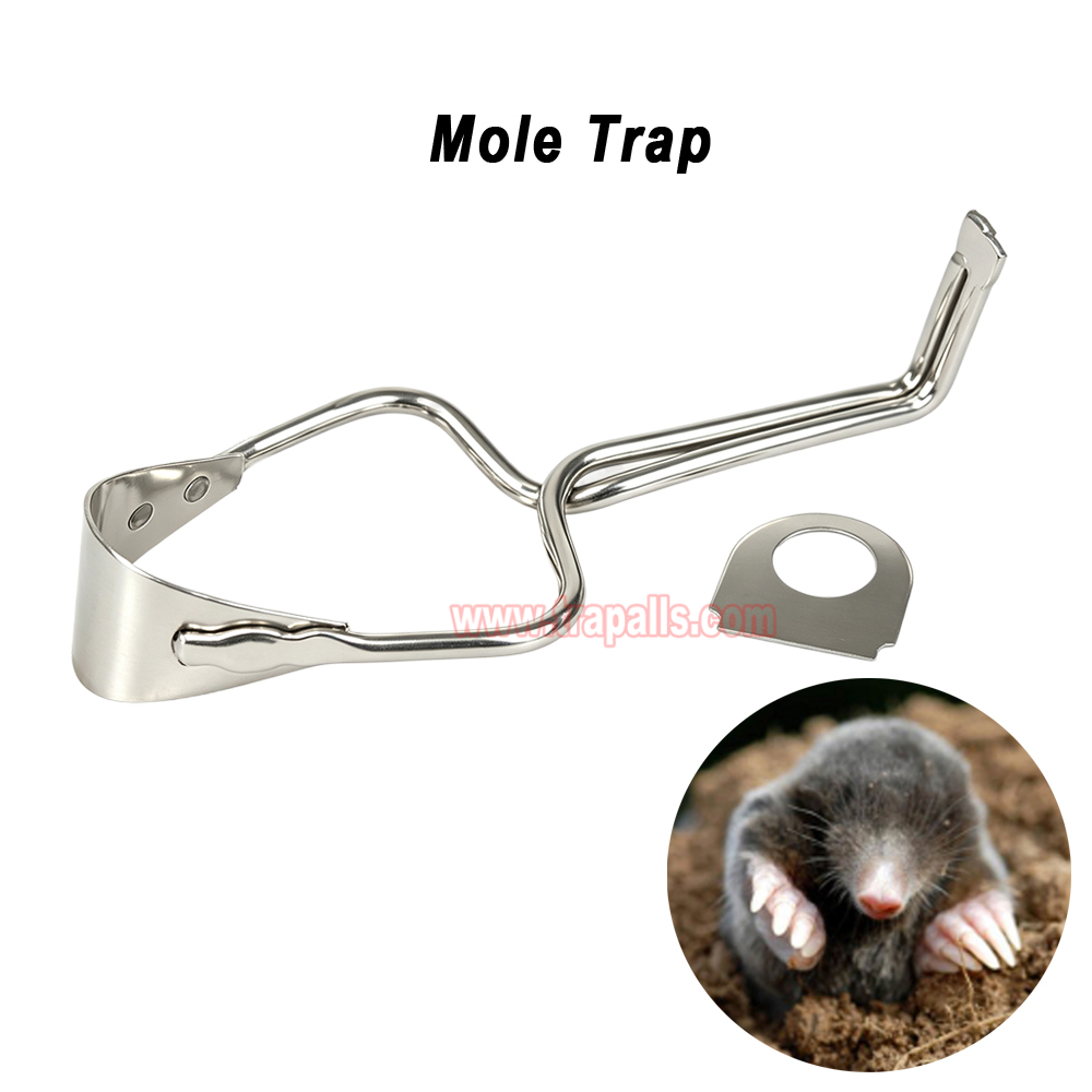 Outdoor Garden Underground Tunnel Reusable Gopher Control Vole Catcher Metal Mole Trap - Image 4