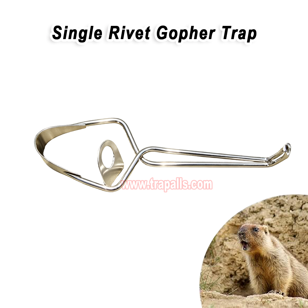 Outdoor Garden Underground Tunnel Reusable Gopher Control Vole Catcher Metal Mole Trap - Image 5