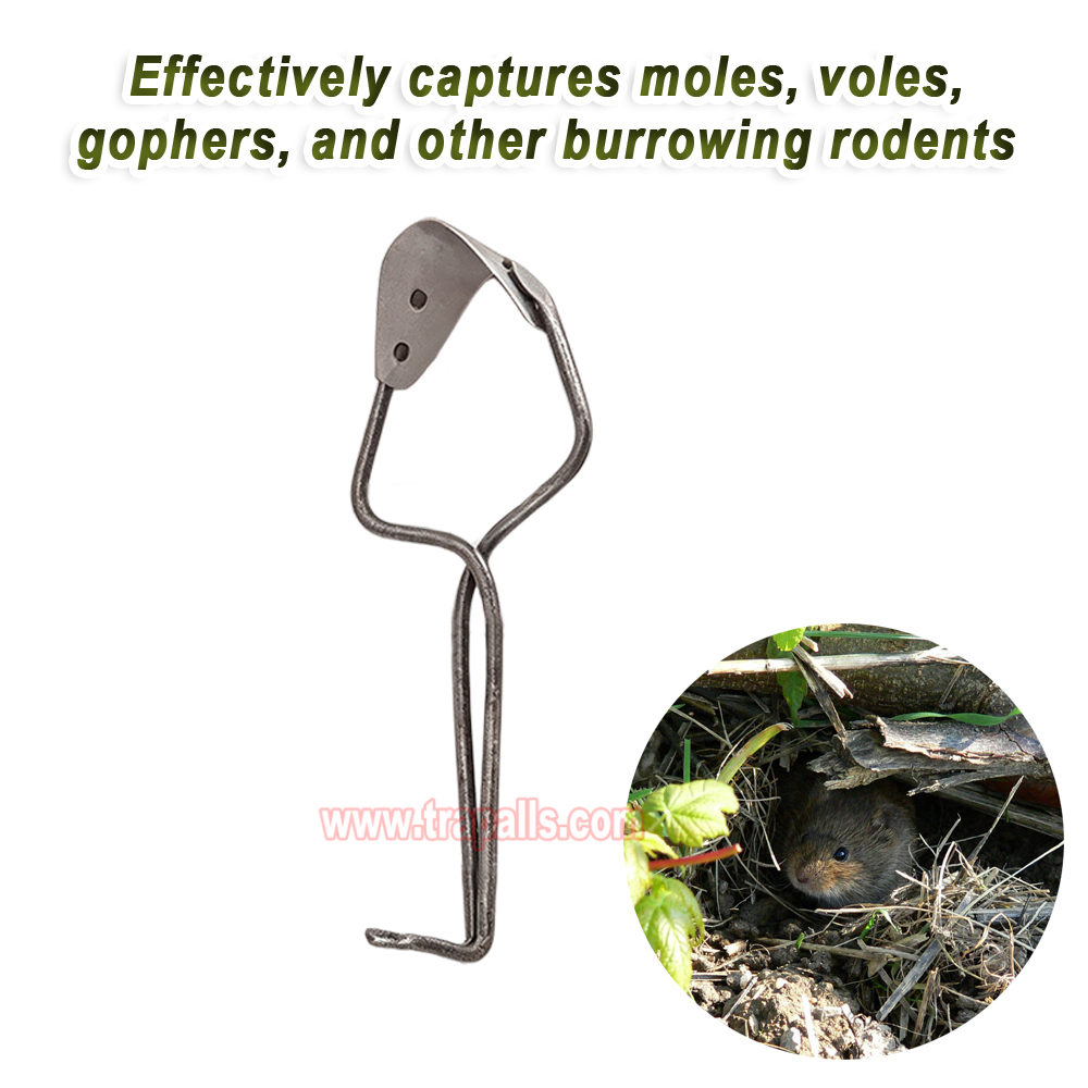 Outdoor Garden Underground Tunnel Reusable Gopher Control Vole Catcher Metal Mole Trap - Image 6