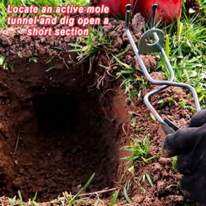 Outdoor Garden Underground Tunnel Reusable Gopher Control Vole Catcher Metal Mole Trap - Image 10